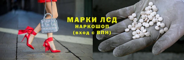прущий лед Алзамай