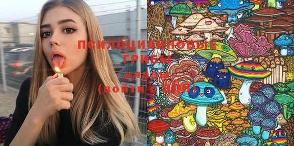индика Алексеевка