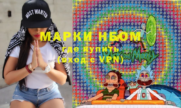 прущий лед Алзамай