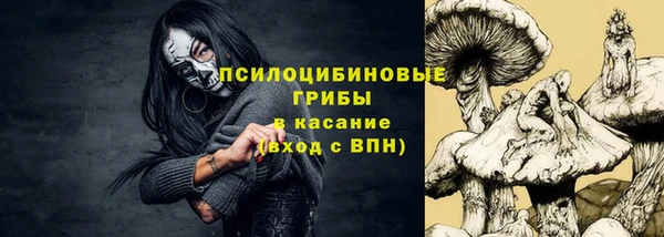 молекула духа Алексин