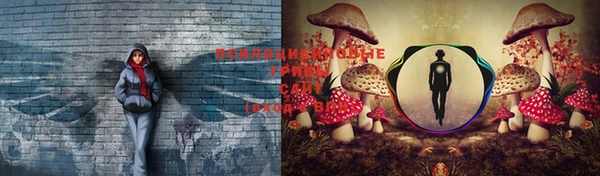 каннабис Абинск