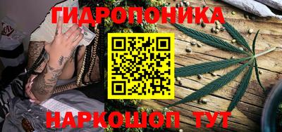 гашик Волжск