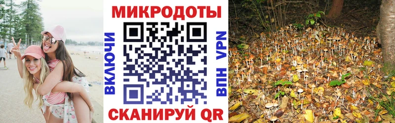 Галлюциногенные грибы ЛСД  купить наркотик  Дивногорск 